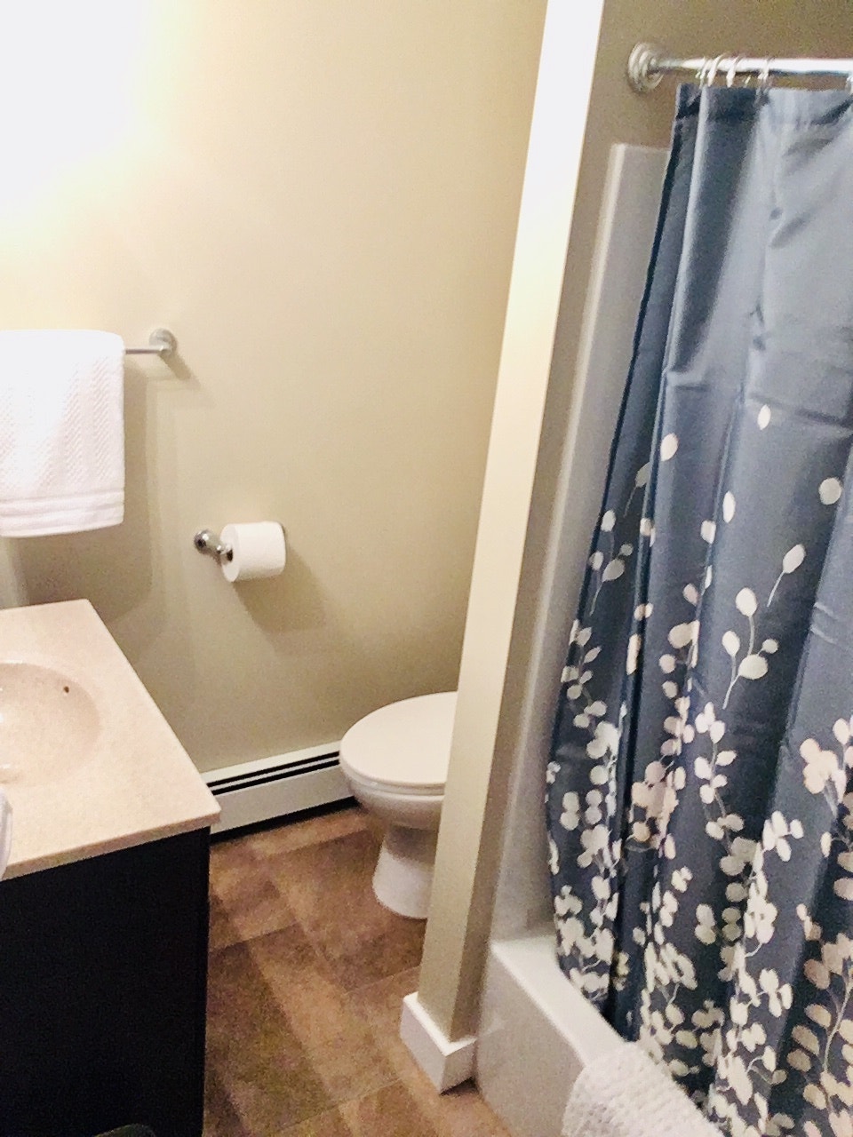 FULLY FURNISHED 1 BEDROOM DOWNTOWN APT. AVAIL. FOR WINTER RENTAL 5