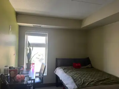 Room available for Sublet from May to August 2026 at 208, Sunview Street, Waterloo. Short walk to Wa...