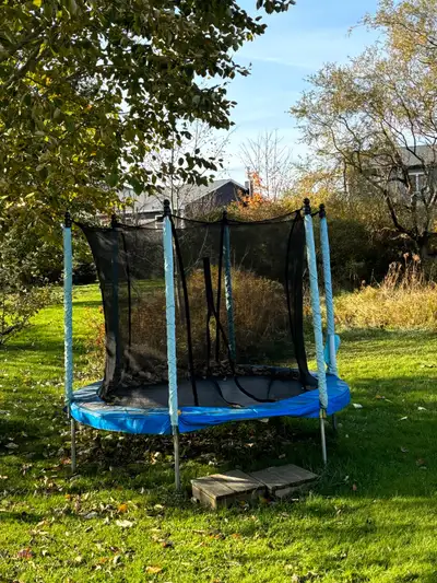 Ignore the leafs! Condition is good. One rip in the outside pole padding and some rusting on poles....