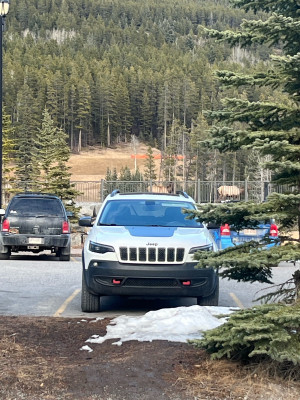 2019 Jeep Cherokee Trailhawk