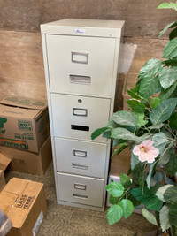 Big File Cabinets from Shannon St Pierre 