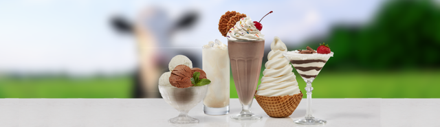 Buy Top Selling Products at Fun Foods Canada in Industrial Kitchen Supplies in City of Toronto - Image 21