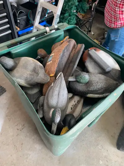 Duck Decoys, View more