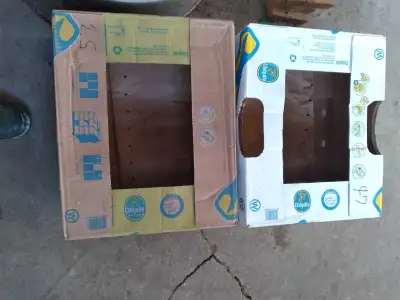Clean Banana Boxes Perfect for Moving, View more