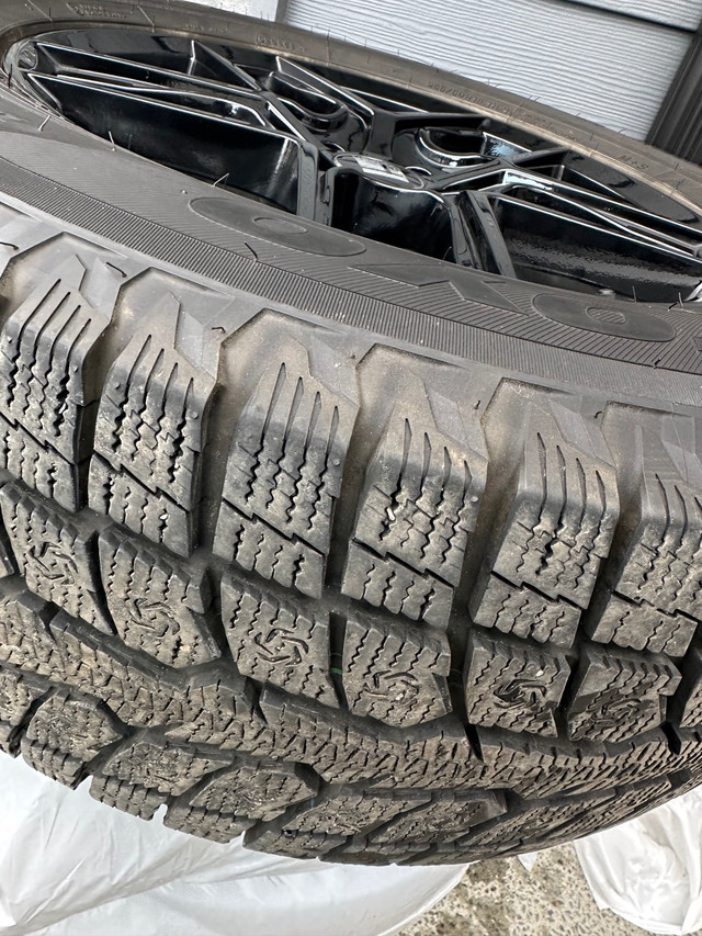 Toyo winter tires & rims  in Tires & Rims in Comox / Courtenay / Cumberland - Image 2