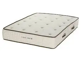 Call or Text on 6478228046 for More details Same day Cash on Delivery Free Delivery