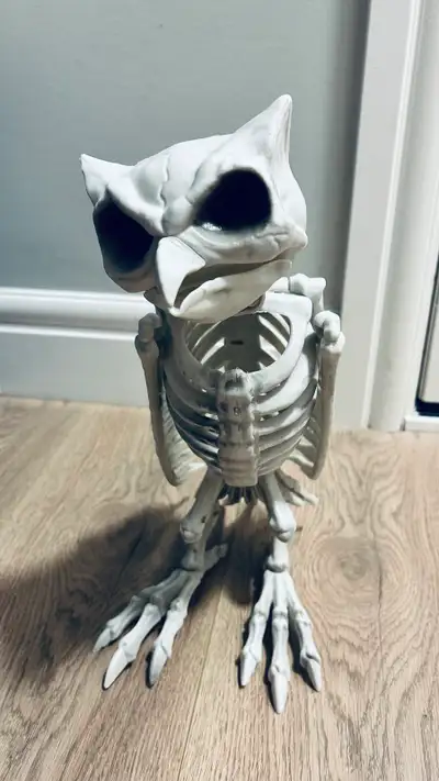 Halloween Skeleton Owl Decoration / Prop, View more