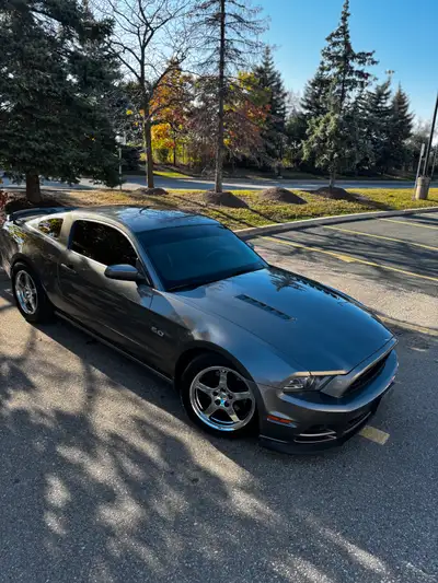 2013 mustang GT Roush supercharged stage 3 600 rwhp jlt performance intake kooks headers/ high flow...