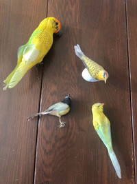 Random Bird Birds Feather Display Figurine Decor Animal
