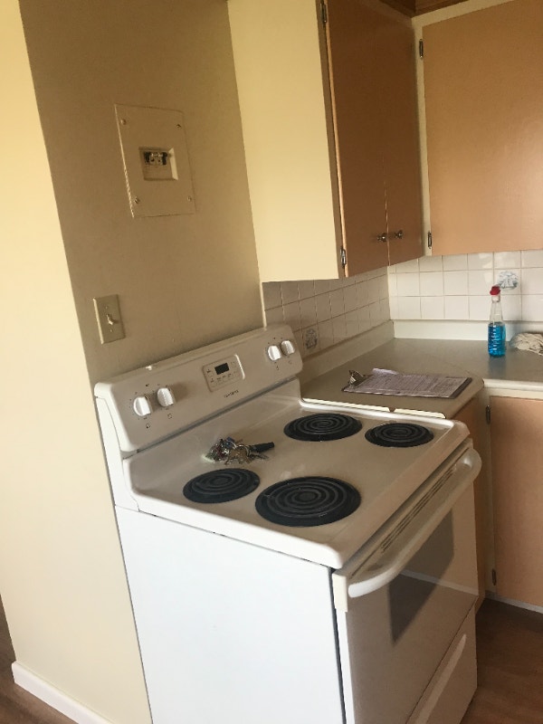 Bankview Bachelor Long Term Rentals Calgary Kijiji
