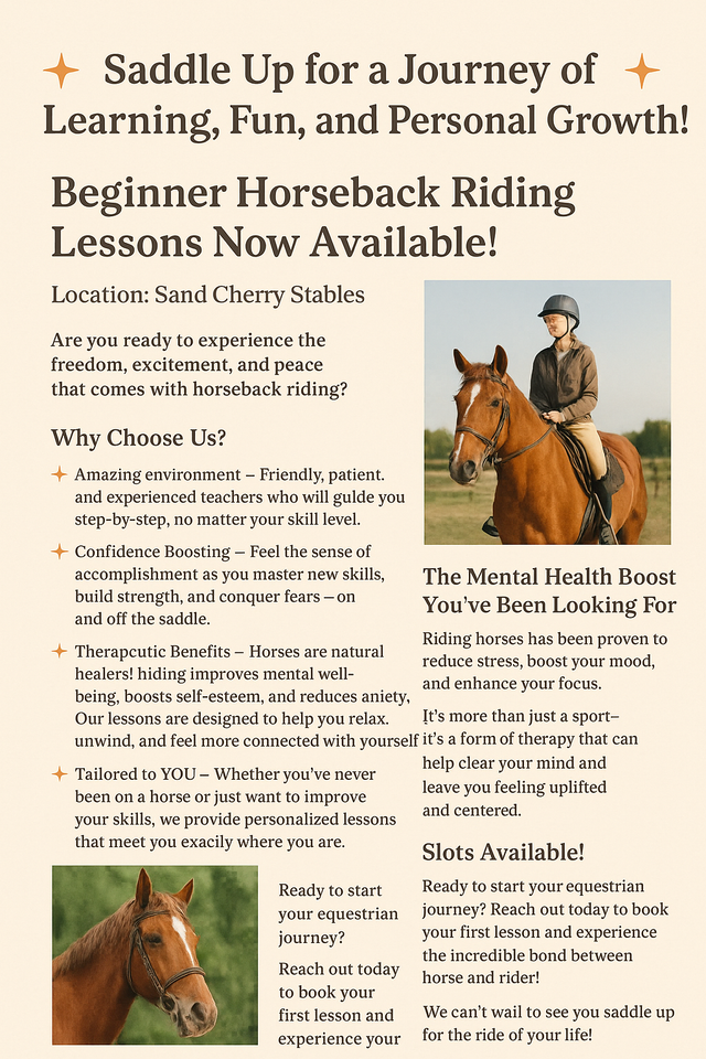 Beginner Horse Riding Lessons64141876798593120
