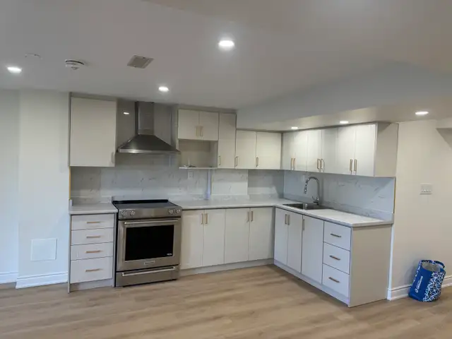 Renovations529384756604446725