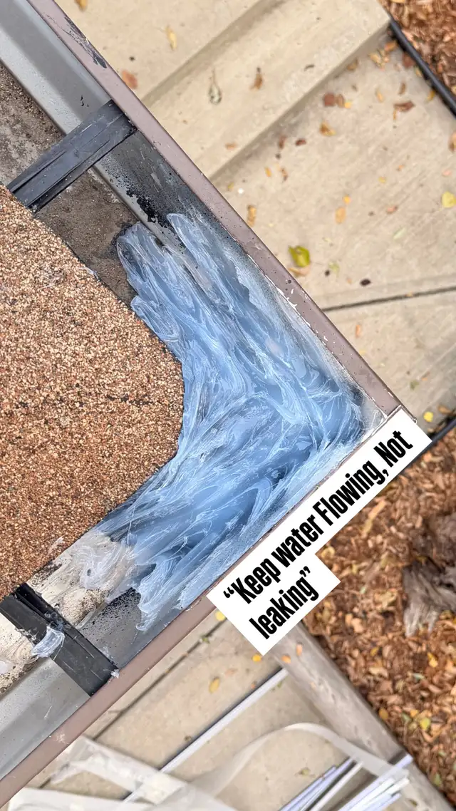 Gutter Cleaning & Downspout Services64639723544963121