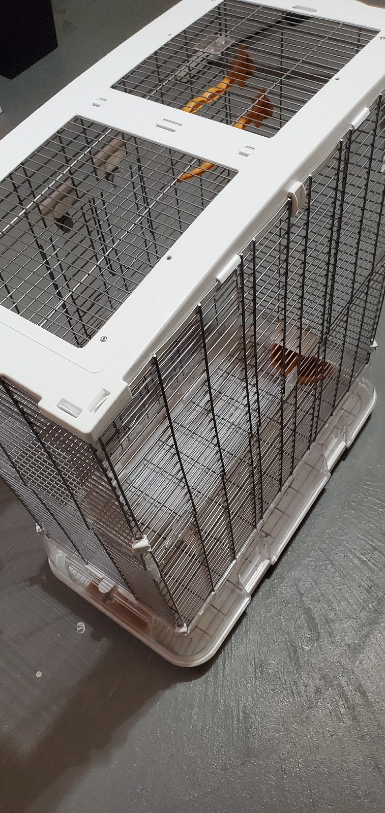 Bird Cage For Small Birds Other Mississauga / Peel Region Kijiji