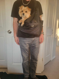 Front wearing dog Carrier 