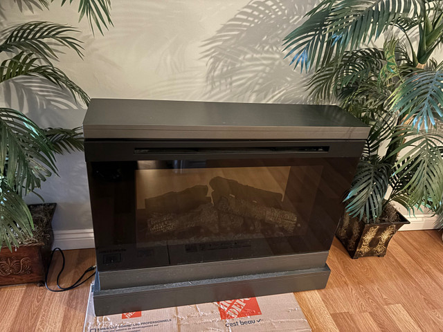Electric Fireplace in Fireplace & Firewood in City of Toronto
