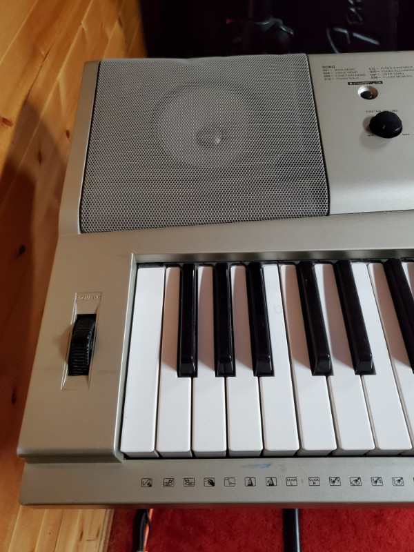 Yamaha YPG235 76 Key Portable Grand Piano with Stands and Damper