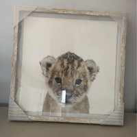 Marmont Hill Lion Cub White Framed Wall Art