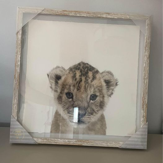 Marmont Hill Lion Cub White Framed Wall Art in Arts & Collectibles in City of Toronto