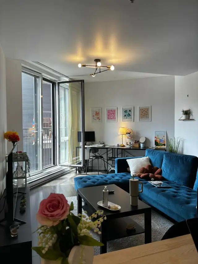 Large 1-Bedroom Condo for Rent – Downtown Montreal