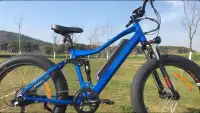 Powerful Bafang Mid-drive dual suspension 1000w+