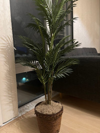 Areca palm silk tree with basket, artifitial