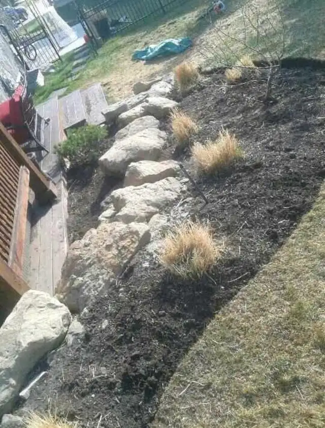 Affordable Professional Pruning/Gardening (reasonable pricing)63013091135105124
