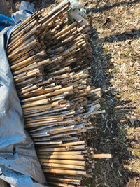 Bamboo and plastic coated metal stakes