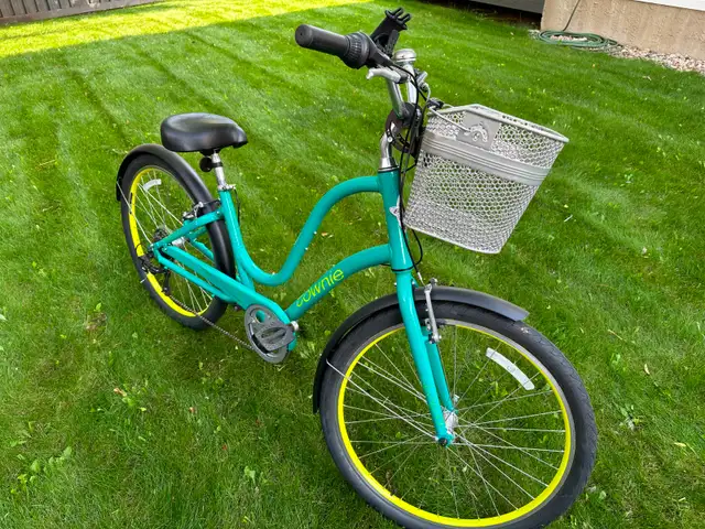 Electra Townie bicycle