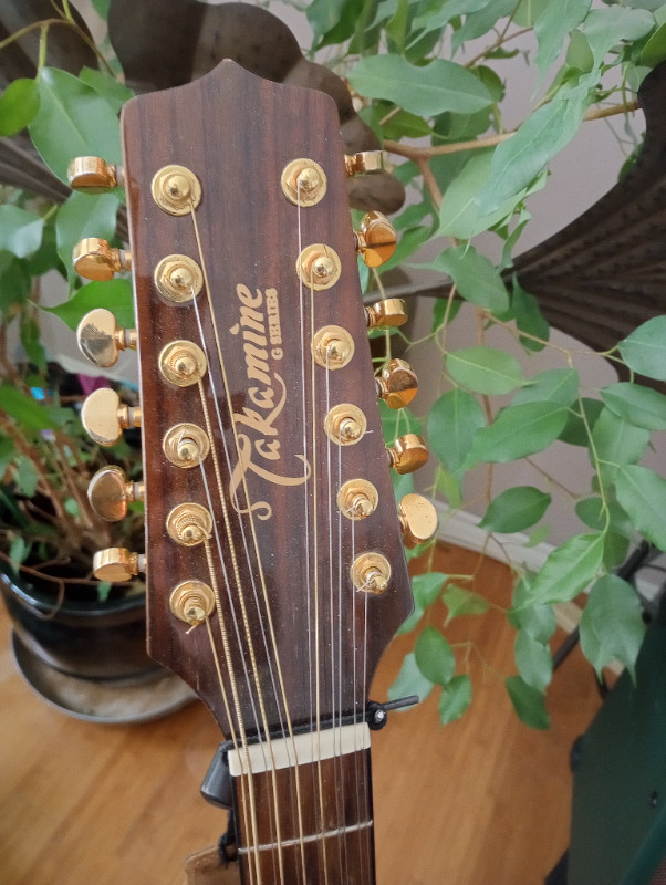 FS: Takamine 12 string acoustic/electric in Guitars in Saskatoon - Image 2