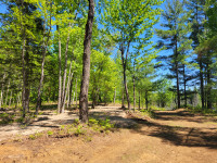 Large Private Forest Lots