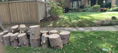 free spruce firewood, View more