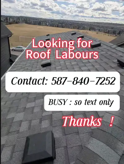 looking for roof labours , View more