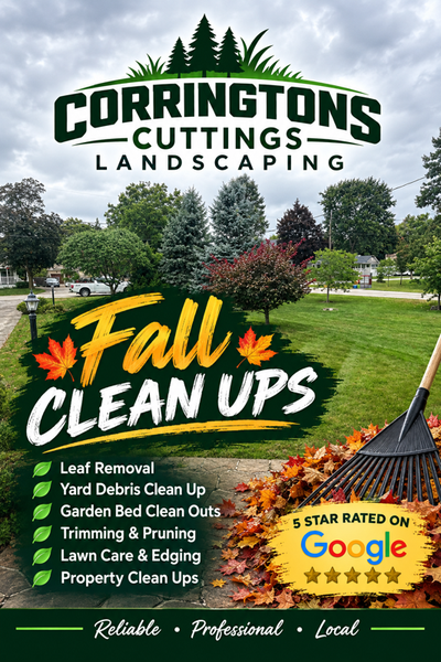 Landscaping/ Snow Removal Services, View more