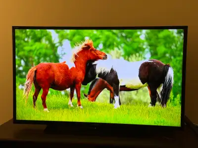 40” Sony Bravia TV + Fire Stick, View more