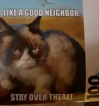 Grumpy Cat Puzzle and Little Joy of Cats Book