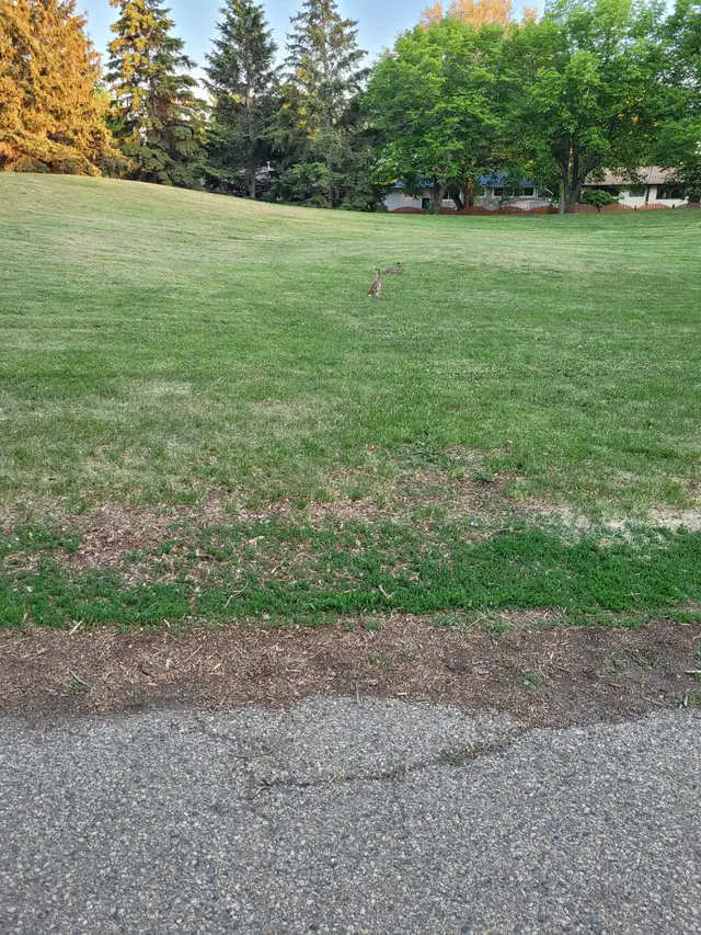 Food help needed64186413657602120