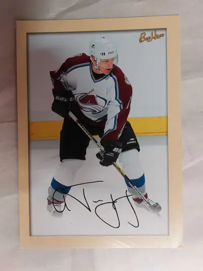 Alex Tanguay Bee Hive Hockey Cards