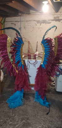 Carnival / Caribana Costume Feathers
