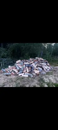Dry Firewood 