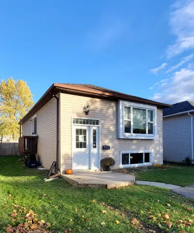 Renovated 2 Bedroom/Bdrm Apartment/House Peterborough/Kawartha