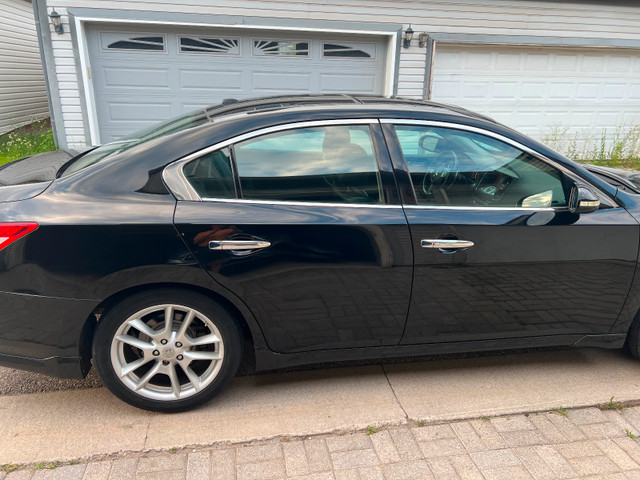 2009 Nissan Maxima for sale - one owner in Cars & Trucks in Oakville / Halton Region - Image 2