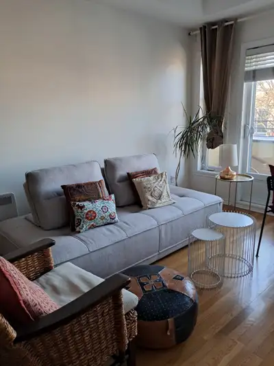 À 5 minutes à pied du métro Jean-Talon : je loue mon condo 3 ½ meublé dans Villeray TOUT INCLUS pour...