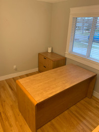 Matching Desk and Filing Cabinet