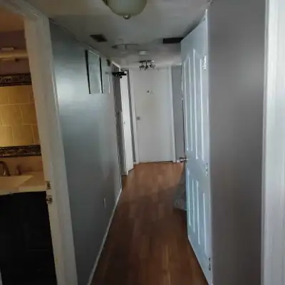 roommates newdwd