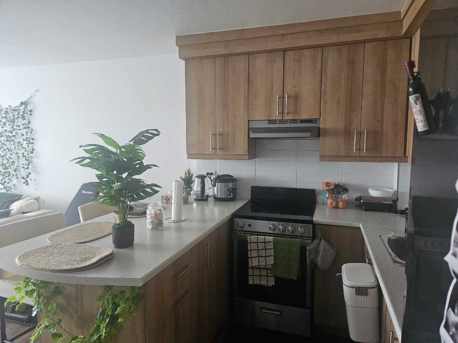 7235 Rue Pierre-Corneille — photo 1