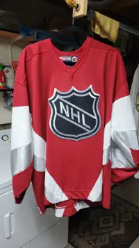 CCM NHL Hockey Jersey (perfect condition)