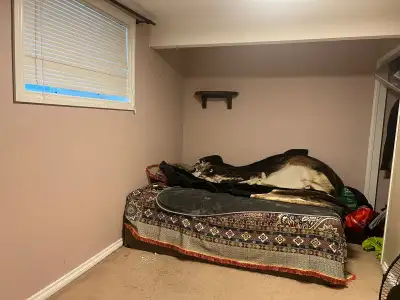 One bedroom basement for rent in quiet neighborhood of saddleridge. With separate entrance kitchen l...