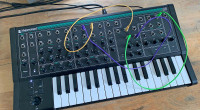 PWM Malevolent - analog semi-modular mono synth