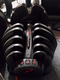 Bowflex 1090 adjustable dumbbells 